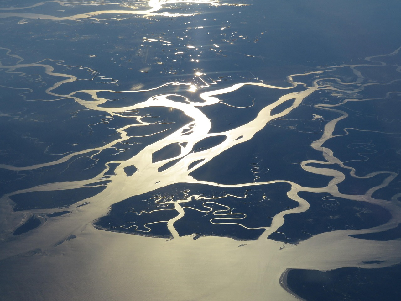 Featured image for “IPE: Breaching planetary boundaries should be a major concern for long-term investors”