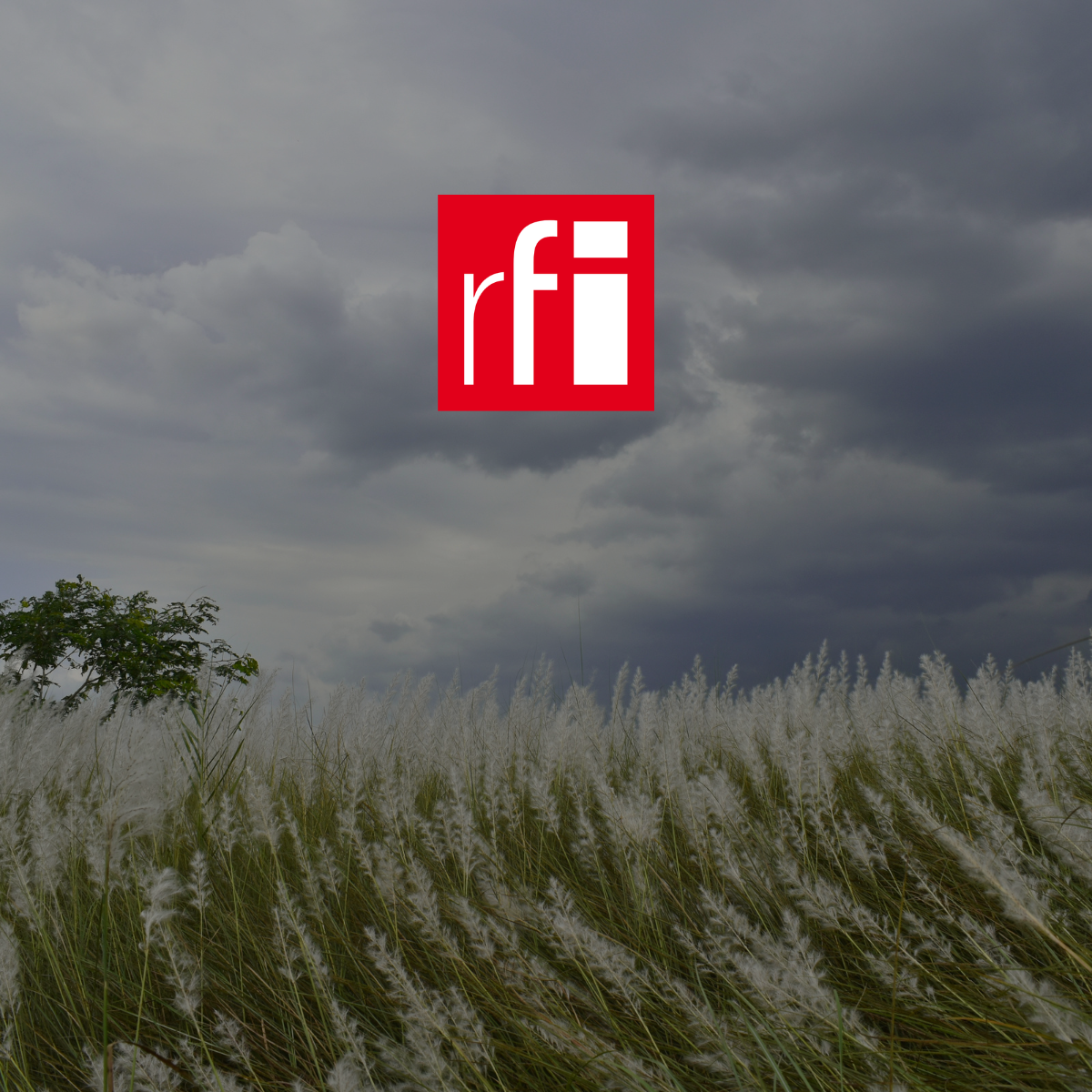Featured image for “RFI: The increasing frequency of extreme weather events will be costly for the global economy.”