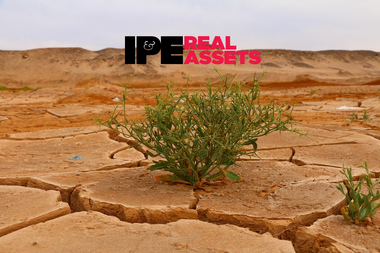 Featured image for “IPE Real Assets – Is This Year’s El Niño a Wake-Up Call for Real Assets Investors?”